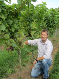McNeill Vineyard Management - vine tending