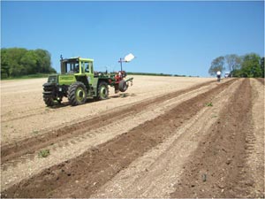 McNeill Vineyard Management - tractor